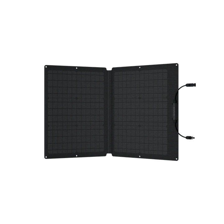 EcoFlow 60W Portable Solar Panel